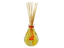 Load image into Gallery viewer, LES SENS DE MARRAKECH Reed Diffuser 250ml