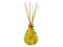 Load image into Gallery viewer, LES SENS DE MARRAKECH Reed Diffuser 250ml
