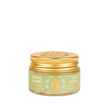 Load image into Gallery viewer, Panier Des Sens Intemporels Lip Balm
